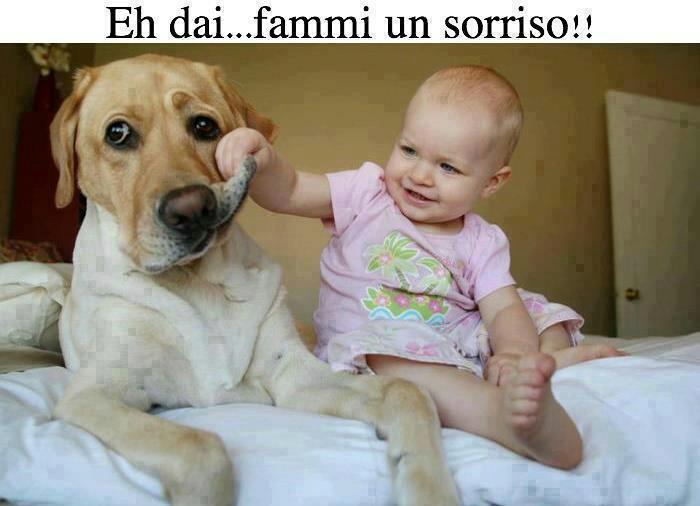 DAJE, CHE TE COSTA !! - 25/11/2012