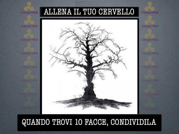 VEDEMO UN PO' !! - 28/11/2012