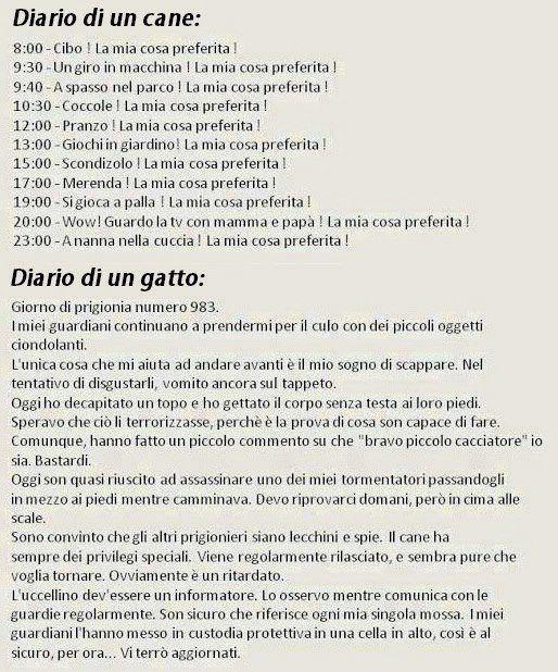 SO' DIARI !! - 28/11/2012