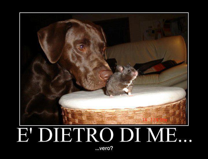 ME STO A IMPRESSIONA ' !! - 29/11/2012