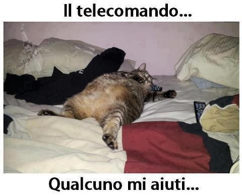 ME DOVETE AIUTA' !! - 01/12/2012