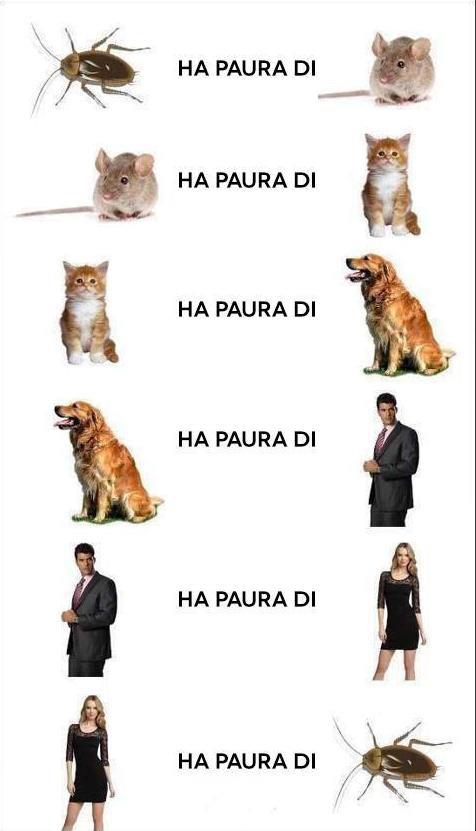 E' 'NA CATENA !! - 01/12/2012