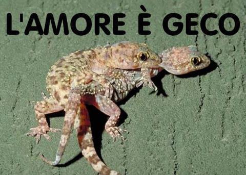 NUN FA 'NA PIEGA !! - 01/12/2012