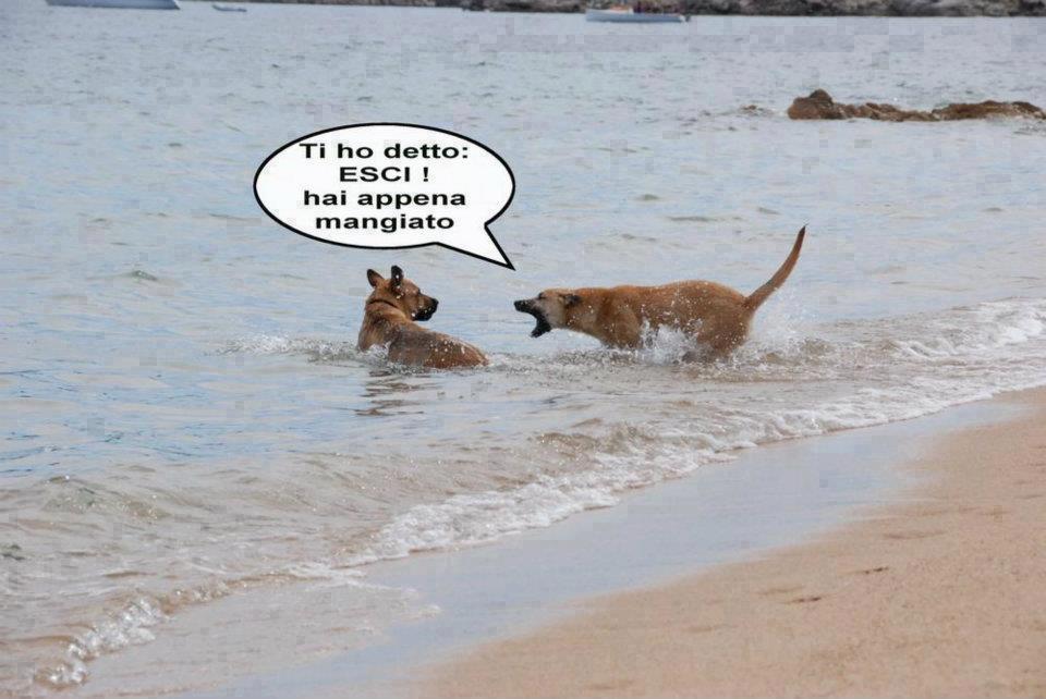 SEMO TUTTI UGUALI !! - 01/12/2012