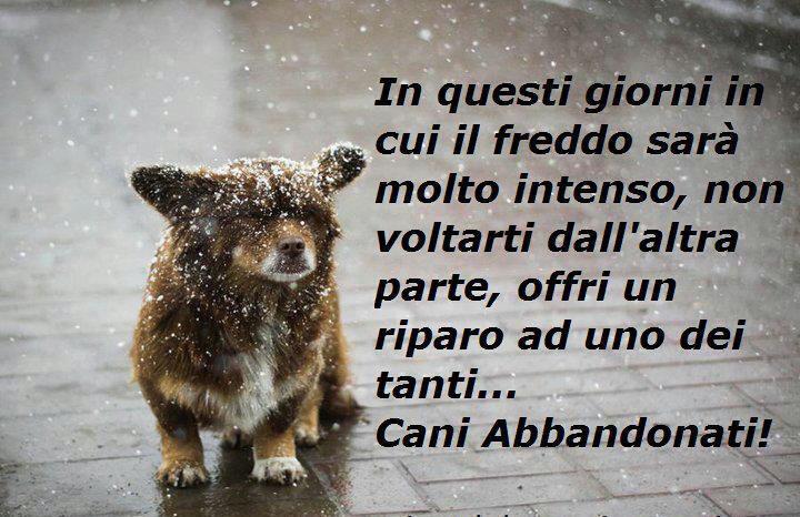 VEDI CHE POI FA' !! - 01/12/2012