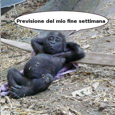 QUESTO E' ER MIO !! - 01/12/2012