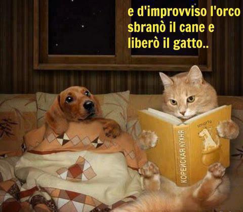 SO' STORIE !! - 01/12/2012