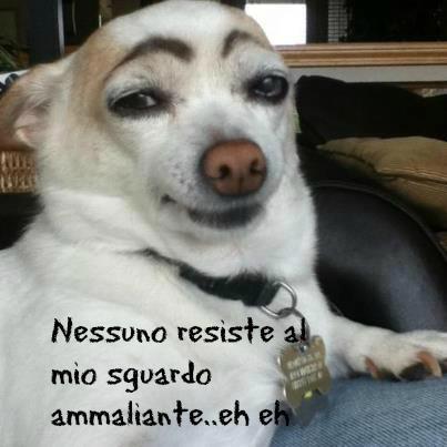NESSUNO ME RESISTE !! - 03/12/2012