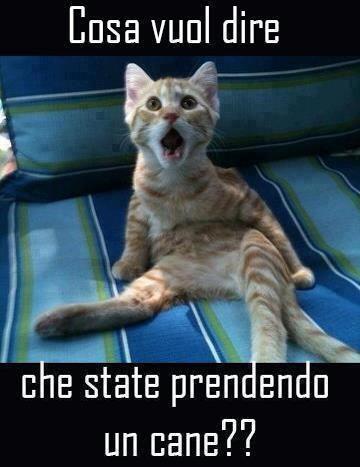 STATE A SCHERZA' !! - 03/12/2012