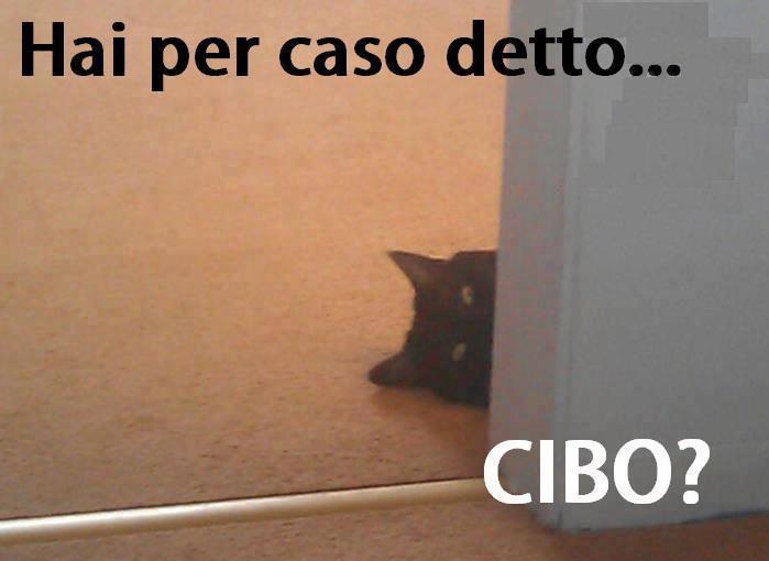 NUN ME DI' !! - 04/12/2012