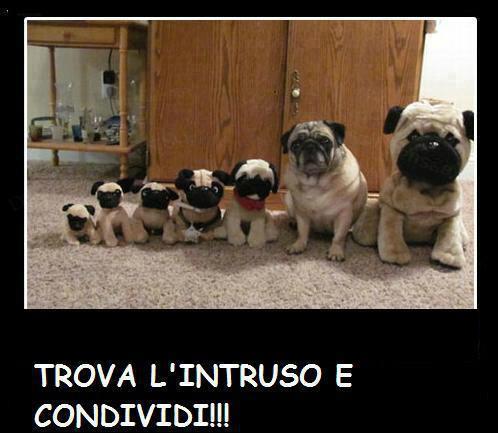 VEDEMO UN PO !! - 05/12/2012
