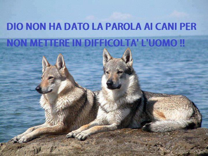 NUN CE SO' DUBBI !! - 05/12/2012