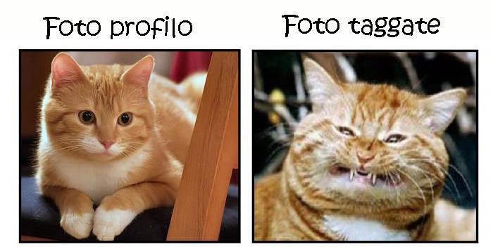 CE SO' DIFFERENZE !! - 05/12/2012
