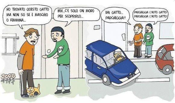 BASTA FA' 'NA PROVA !! - 05/12/2012