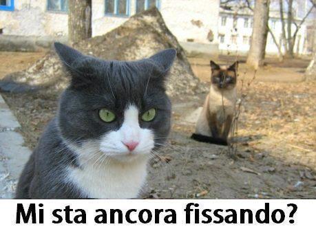 ME STA ANCORA A FISSA' ?? - 07/12/2012