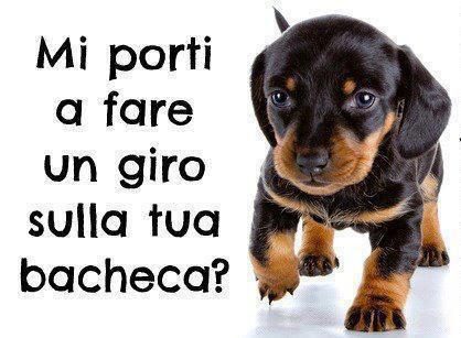 ME VENGO A FA' UN GIRETTO !! - 10/07/2012