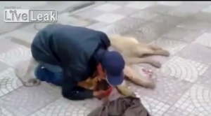 IL DRAMMA_ L'UOMO PIANGE LA MORTE DEL SUO CANE UCCISO IN UN INCIDENTE - VIDEO - 15/02/2014