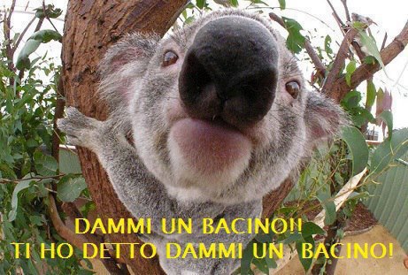 DAMME UN BACETTO !! - 08/12/2012