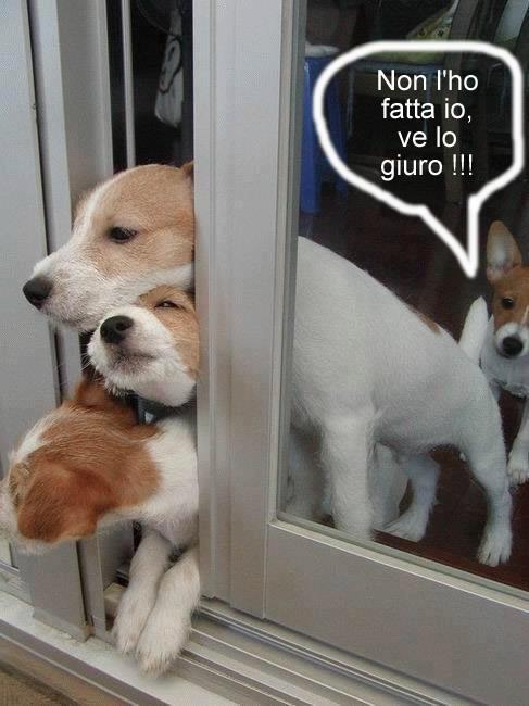 NUN SO STATO IO !! - 08/12/2012