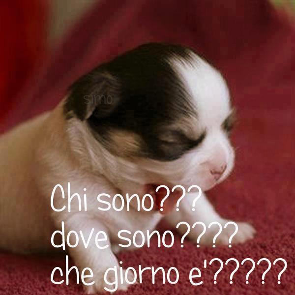 NUN ME RIESCO A RIPIJA' !! - 09/12/2012