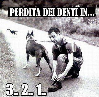 Immagine Divertente - 10/12/2012