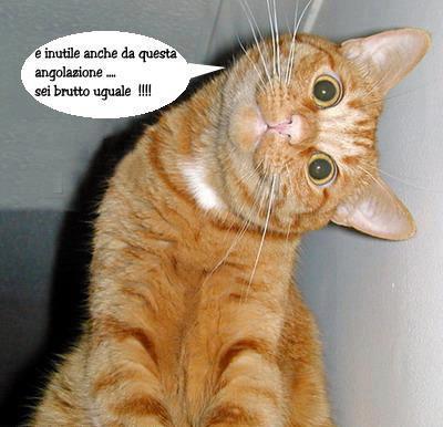 NUN CAMBI !! - 11/12/2012