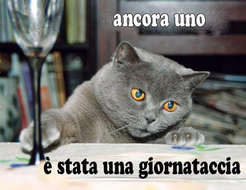 E' STATA 'NA GIORNATACCIA !! - 12/12/2012