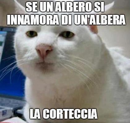 NUN FA 'NA PIEGA !! - 12/12/2012