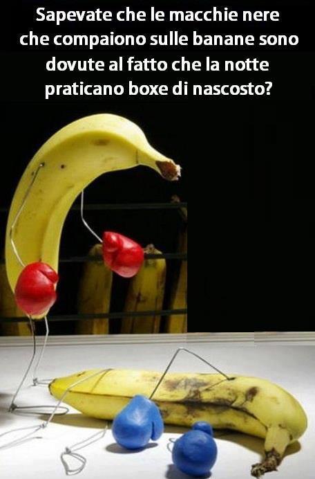 ECCO ER PERCHE' !! - 12/12/2012