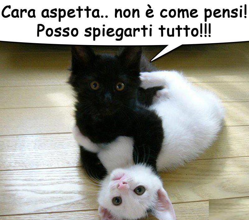 NUN E' COME PENSI !! - 14/07/2012
