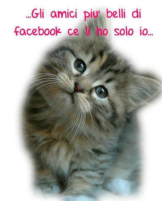 I MIEI SO LI MEJO !! - 13/12/2012