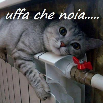 NUN SO CHE FA' !! - 14/12/2012