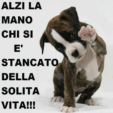 DAJE UN PO' !! - 14/12/2012