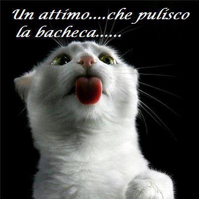 DAMME UN ATTIMO !! - 14/12/2012