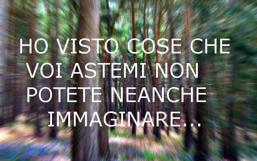 Immagine Divertente - 15/07/2012