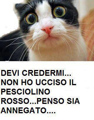 NUN HO FATTO NIENTE !! - 15/07/2012