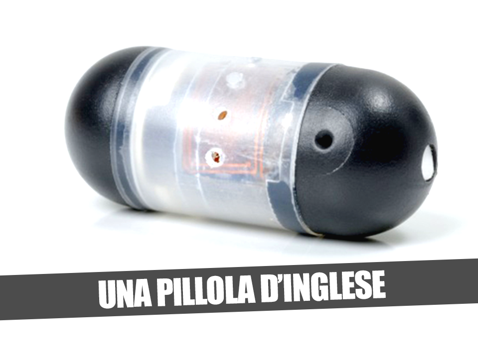 ULTIMA INVENZIONE: PER IMPARARE L'INGLESE BASTERA' INGERIRE QUESTA PILLOLA - ECCO COME FUNZIONA - 24/09/2014
