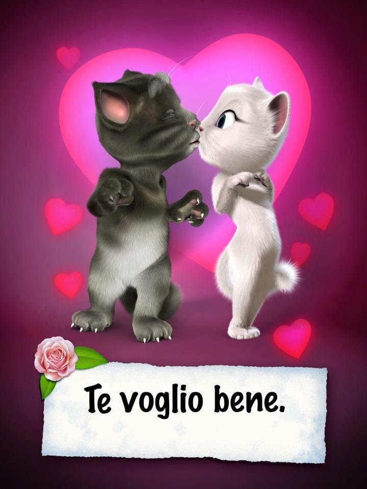 TE VOJO BENE !! - 18/12/2012