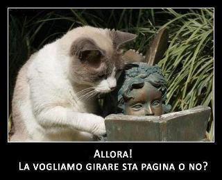 CHE VOLEMO FA' ?! - 18/12/2012