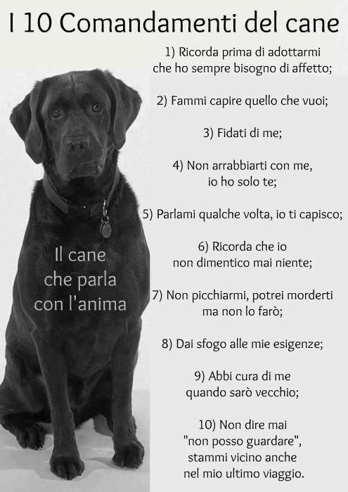 I 10 COMANDAMENTI DE UN CANE !! - 21/12/2012