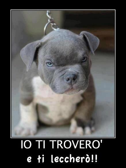 TE TROVERO' !! - 21/12/2012