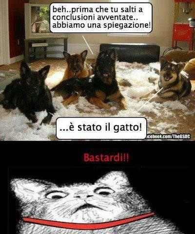 NUN E' COLPA NOSTRA !! - 21/12/2012