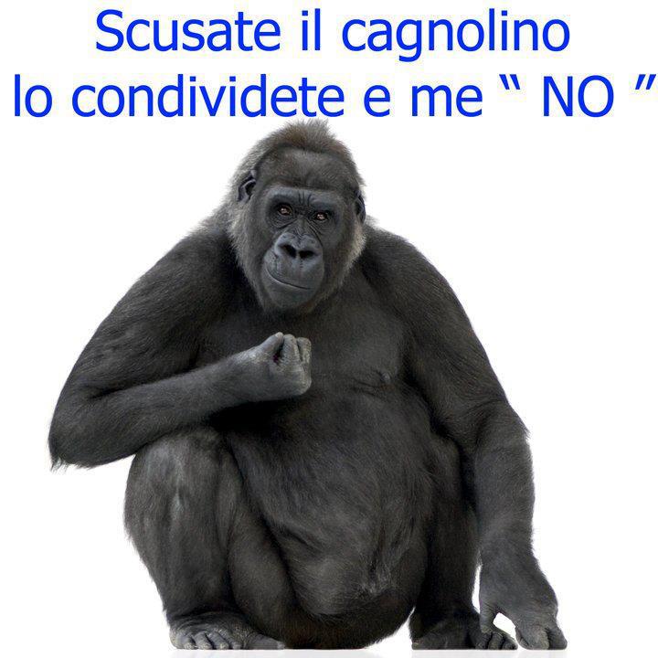 VE PARE GIUSTO ?! - 26/12/2012