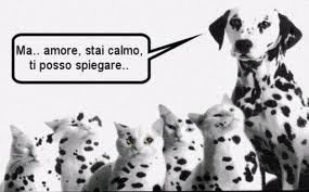 NUN E' COME PO' SEMBRA' !! - 18/07/2012