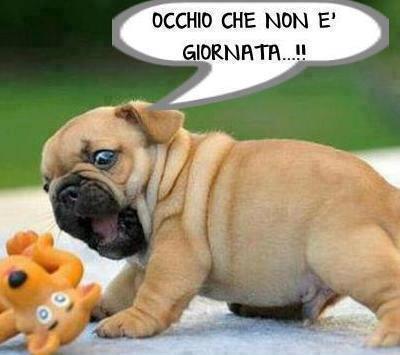 GIRAME ALLA LARGA !! - 27/12/2012