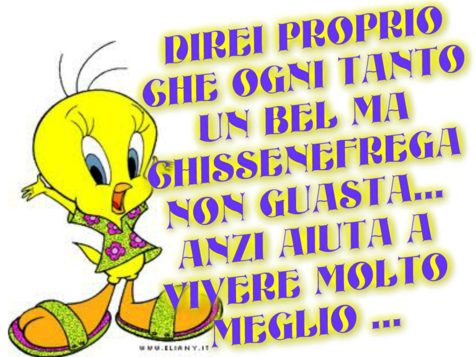 NUN GUASTA MAI !! - 28/12/2012