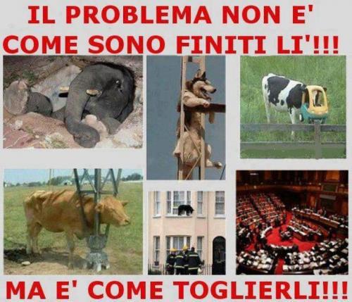 E MO COME SE FA ?! - 20/07/2012