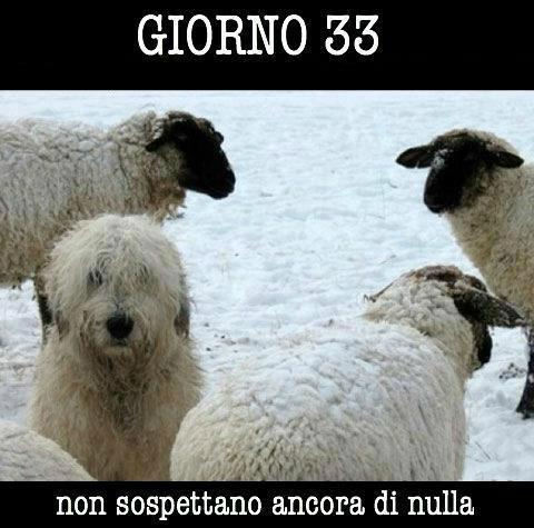 ME SO' NASCOSTO BENE !! - 02/01/2013