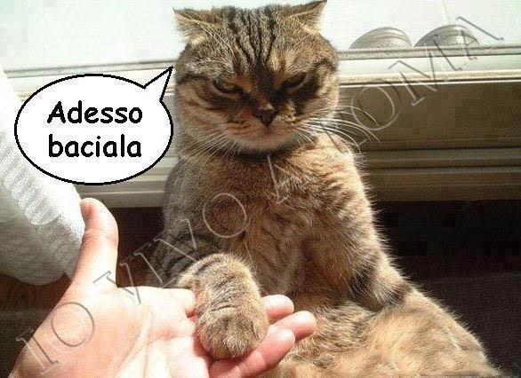 NUN ME LO FA RIPETE !! - 03/01/2013