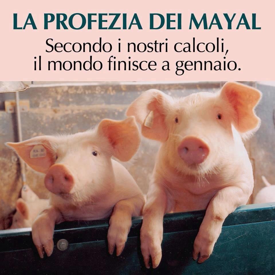 OGNUNO FA 'A SUA !! - 04/01/2013